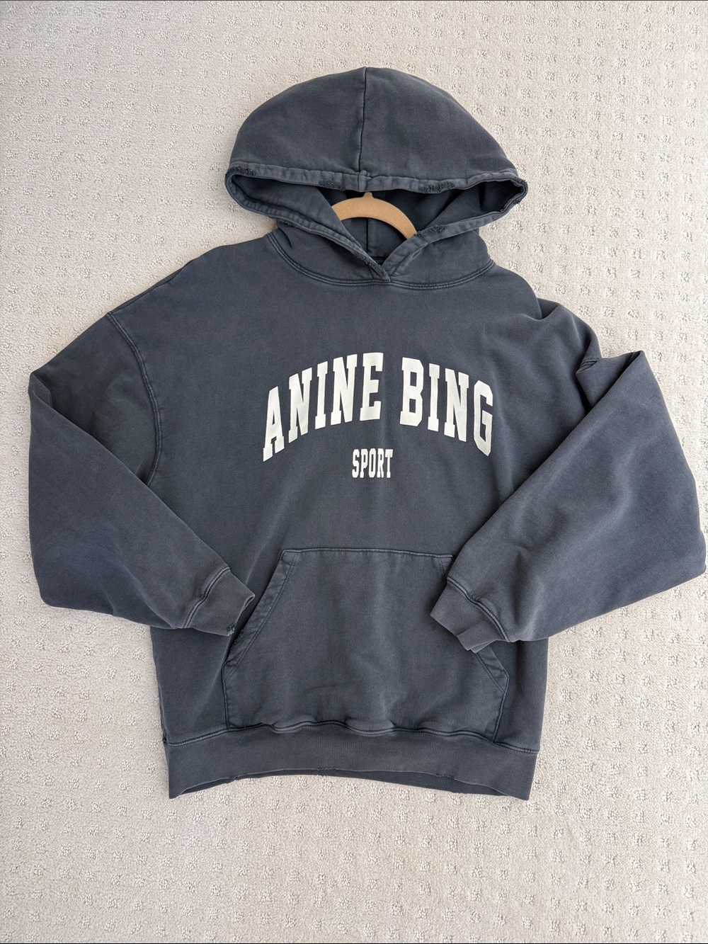 Anine Bing Sport Harvey Sweatshirt in Washed Black
